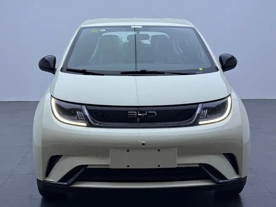 BYD Sea Lion 06 EV 2025