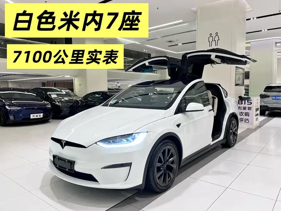 Tesla Model X