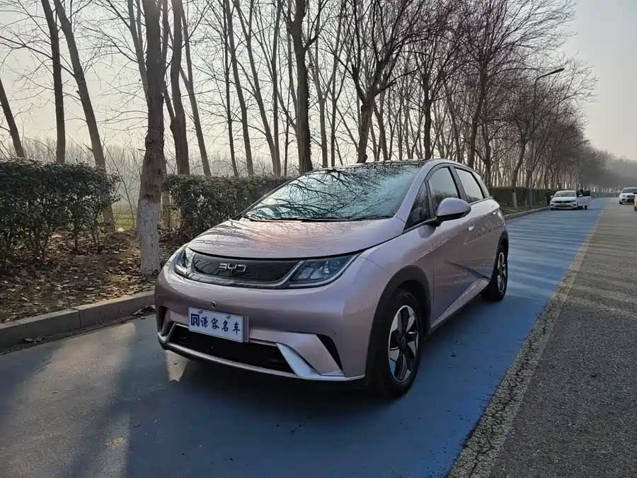 BYD Dolphin