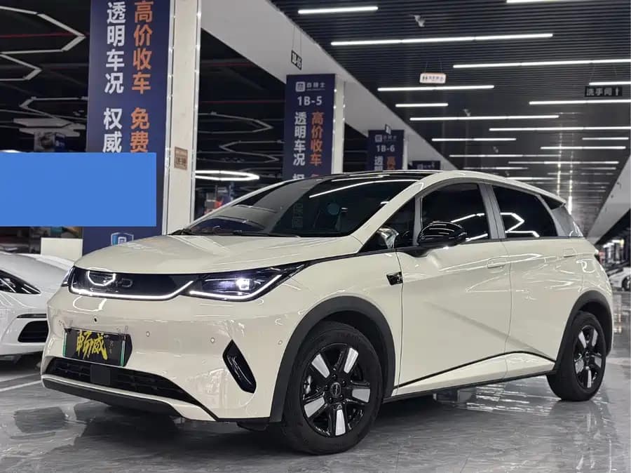 BYD Dolphin 2025