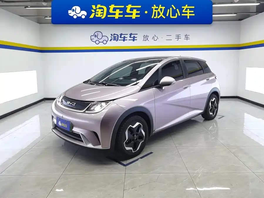 BYD Dolphin