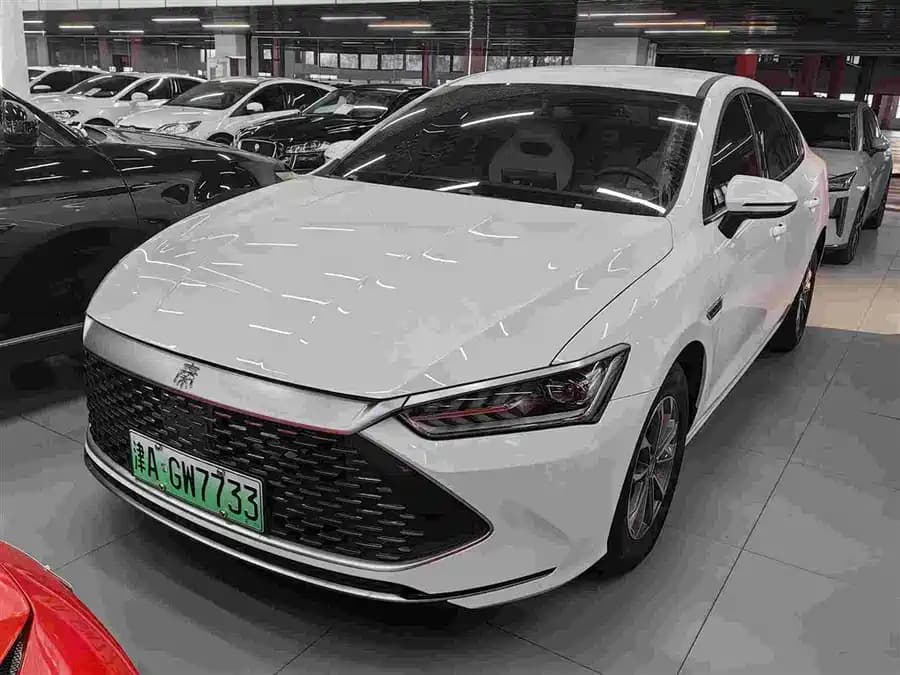 BYD Qin Plus EV 2024