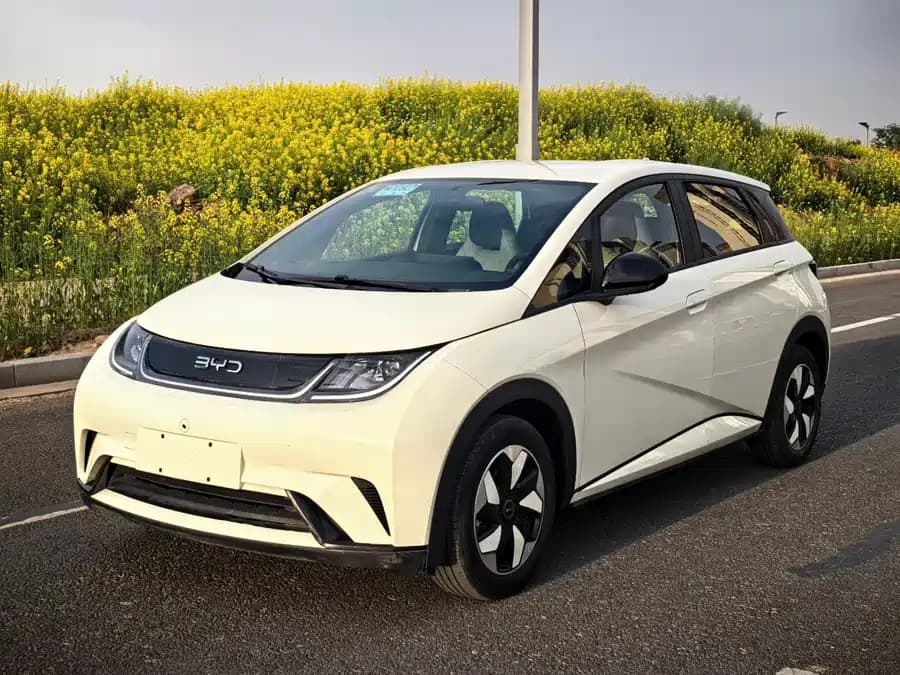 BYD Dolphin 2025