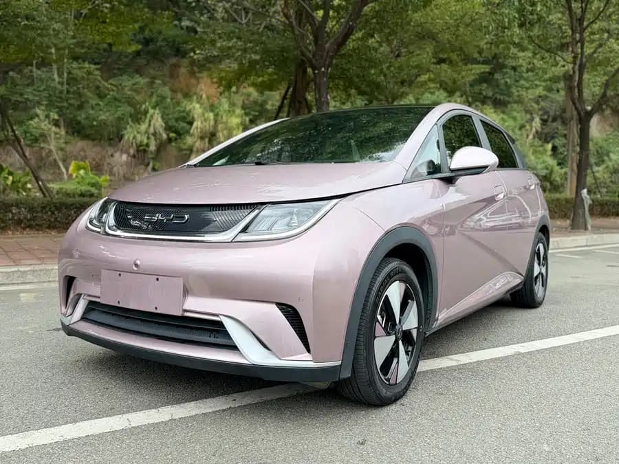 BYD Dolphin