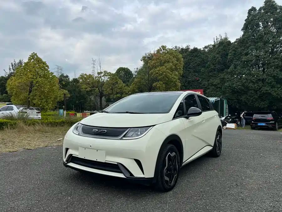 BYD Dolphin