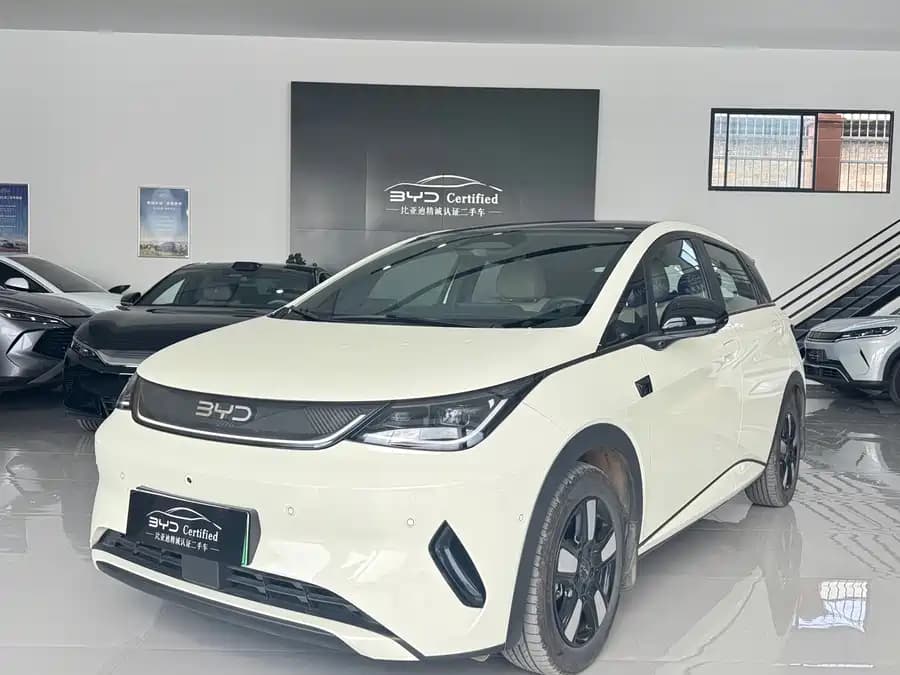 BYD Dolphin