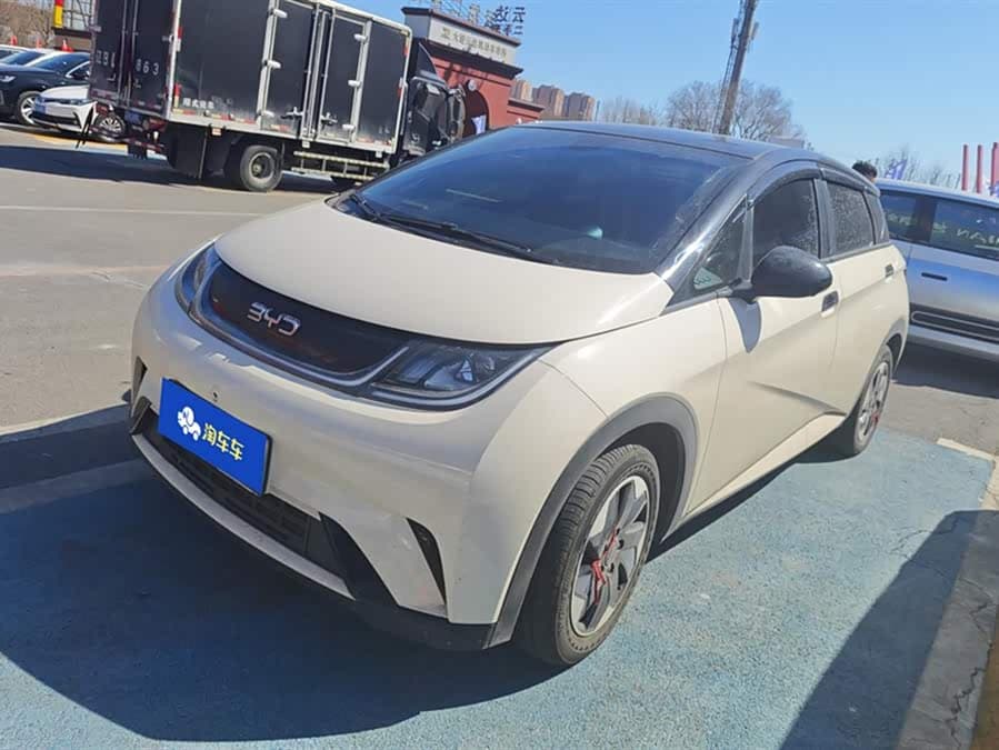 BYD Dolphin