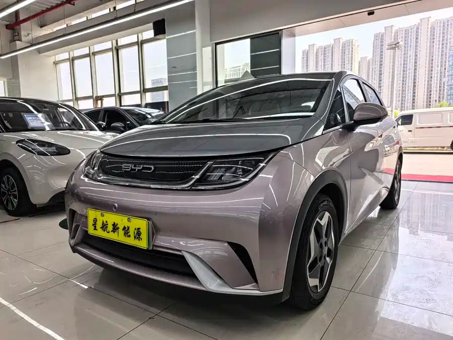 BYD Dolphin 2021