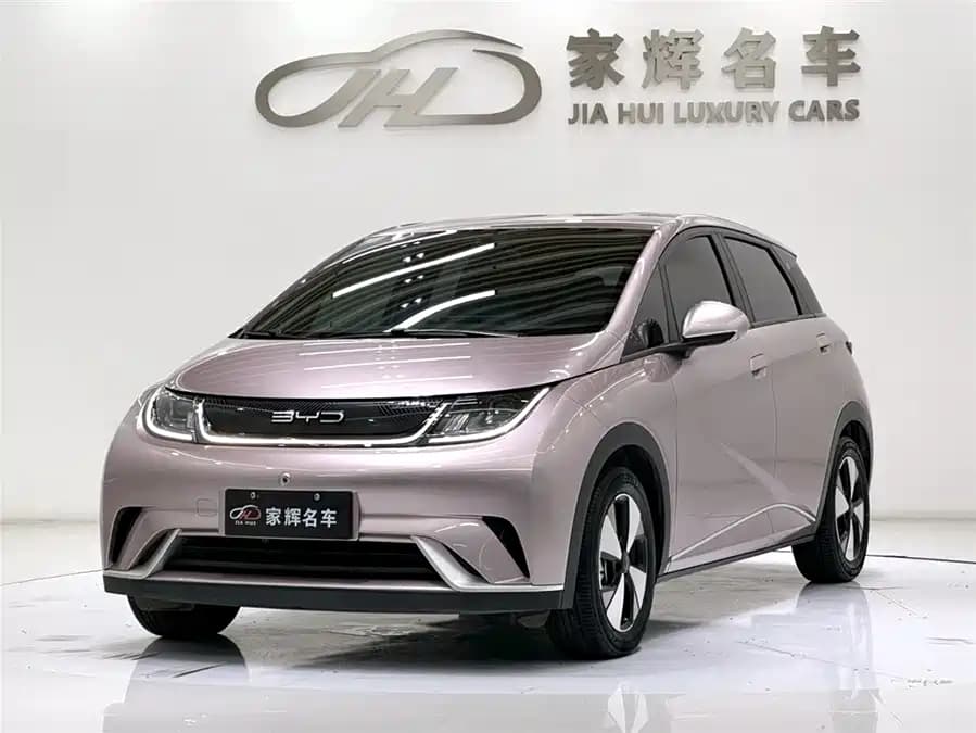 BYD Dolphin