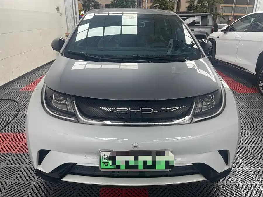 BYD Dolphin