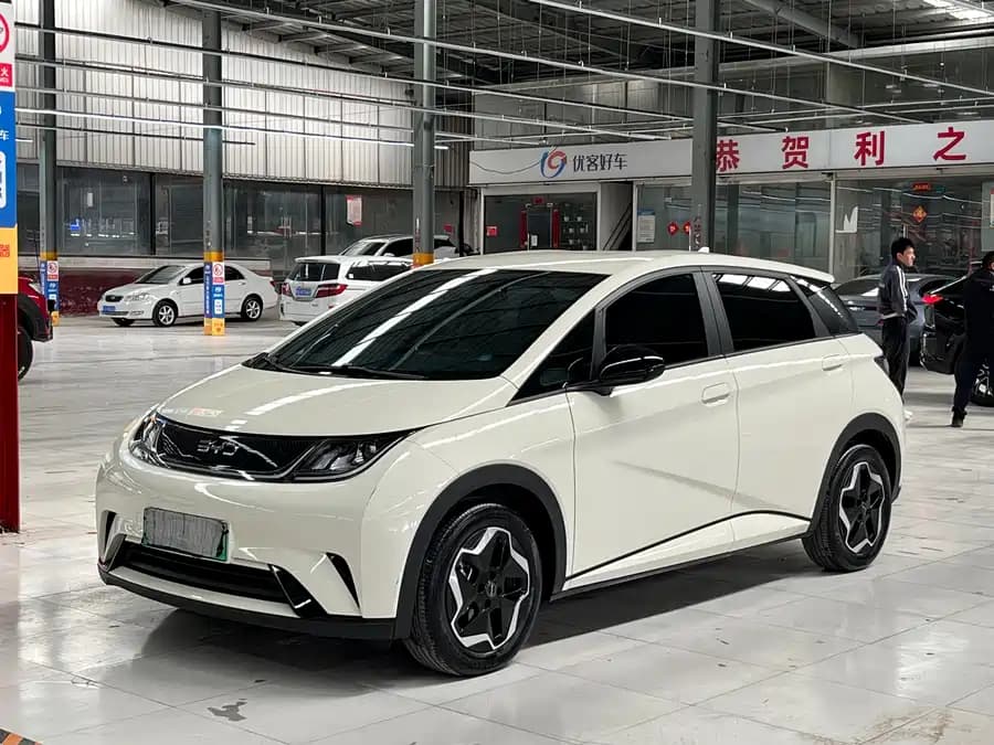 BYD Dolphin