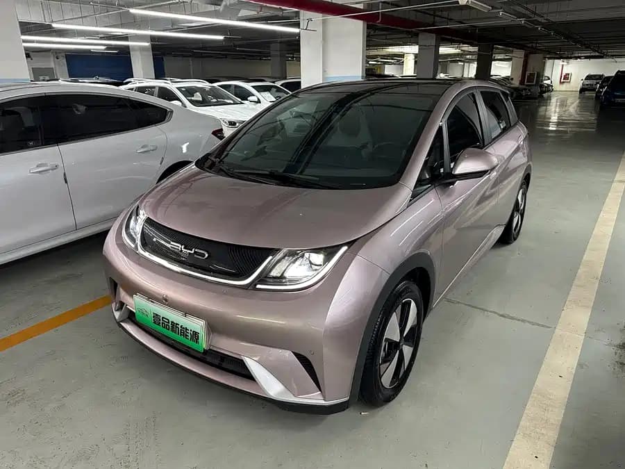 BYD Dolphin
