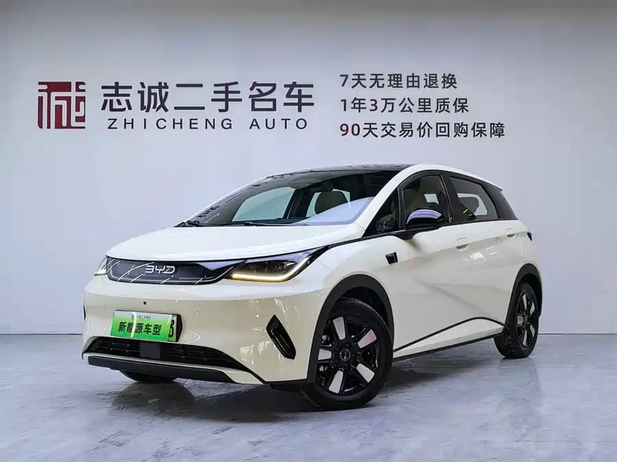 BYD Dolphin