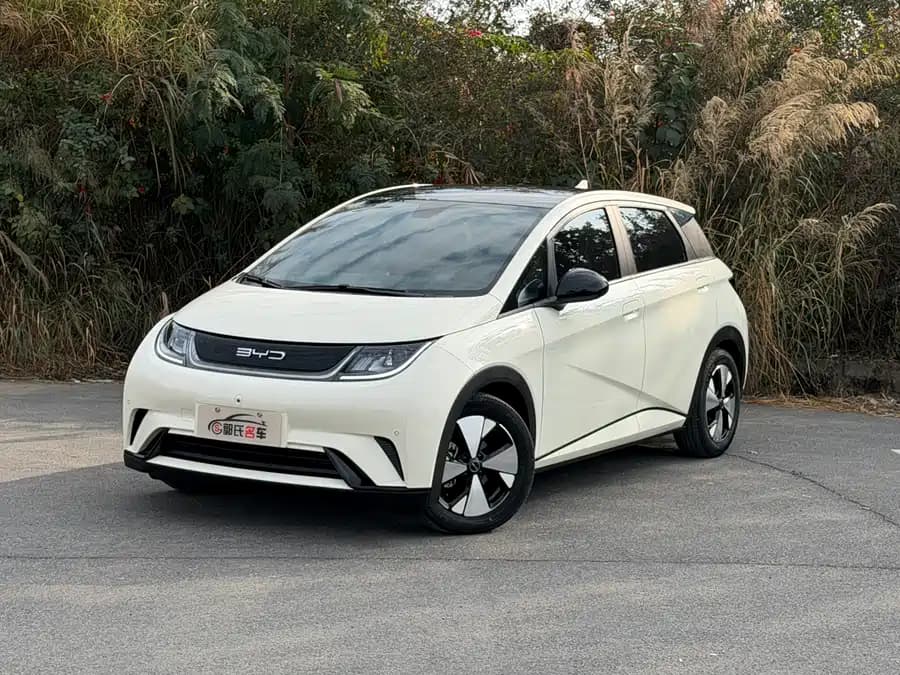 BYD Dolphin