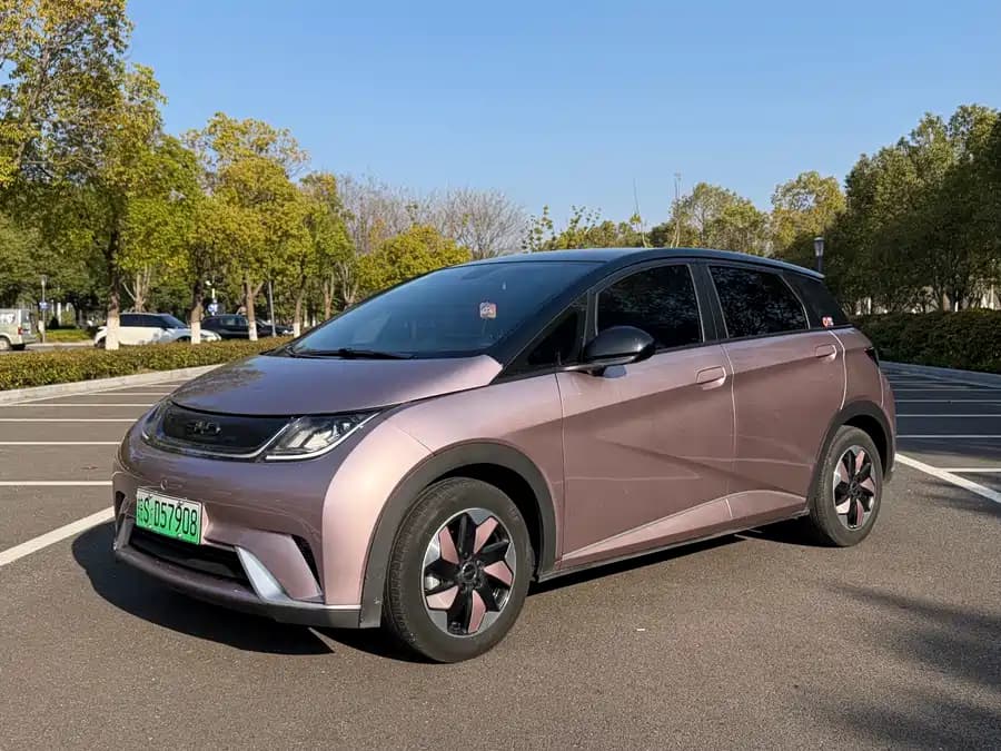 BYD Dolphin