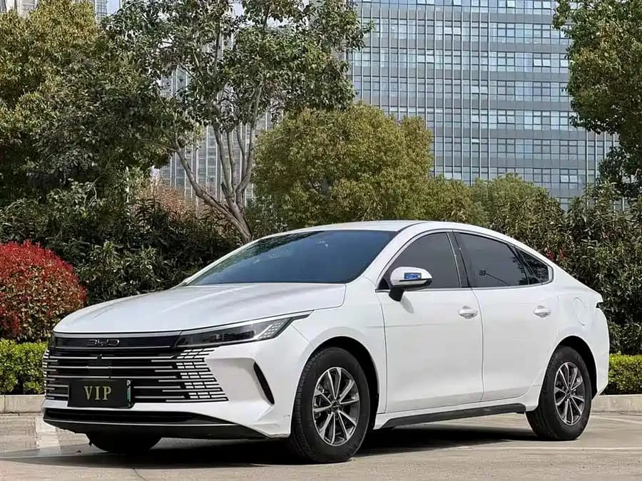 BYD Sea Lion 06 EV 2024