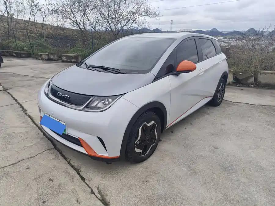 BYD Dolphin