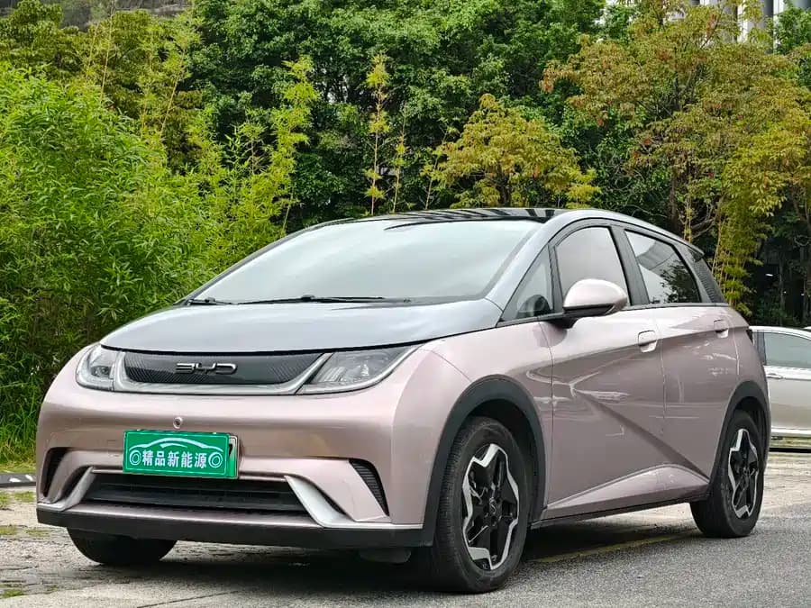 BYD Dolphin 2021