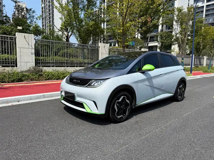 BYD Dolphin