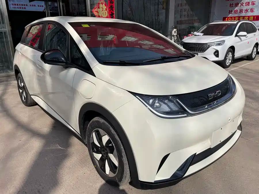 BYD Dolphin