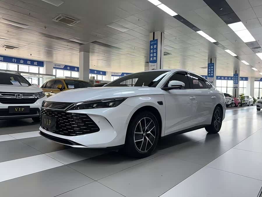 BYD Sea Lion 06 EV 2025