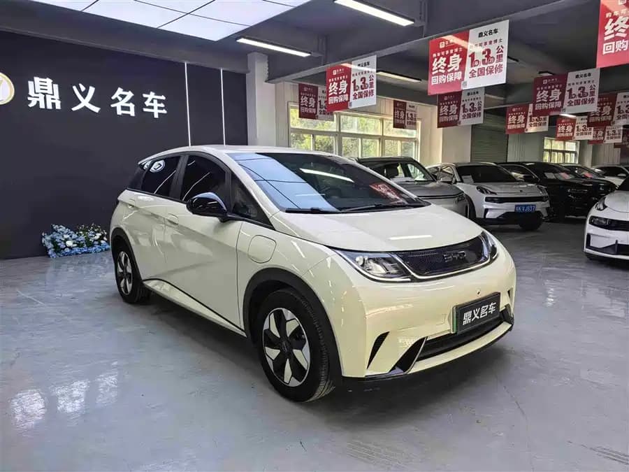 BYD Dolphin 2025