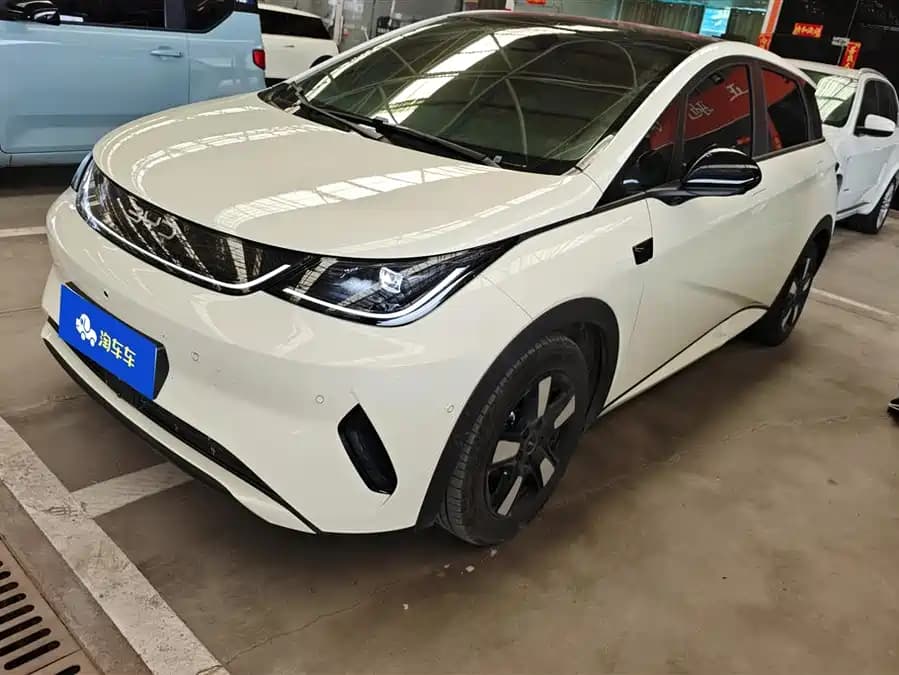 BYD Dolphin null