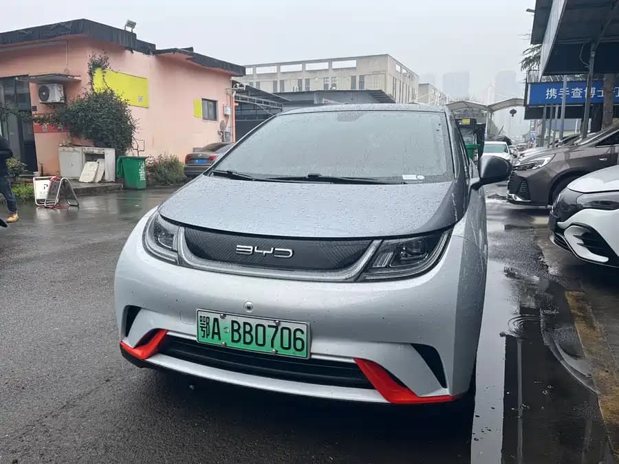 BYD Dolphin