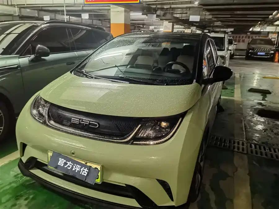 BYD Sea Lion 06 EV 2021