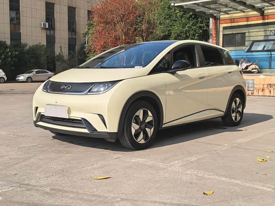 BYD Dolphin 2024