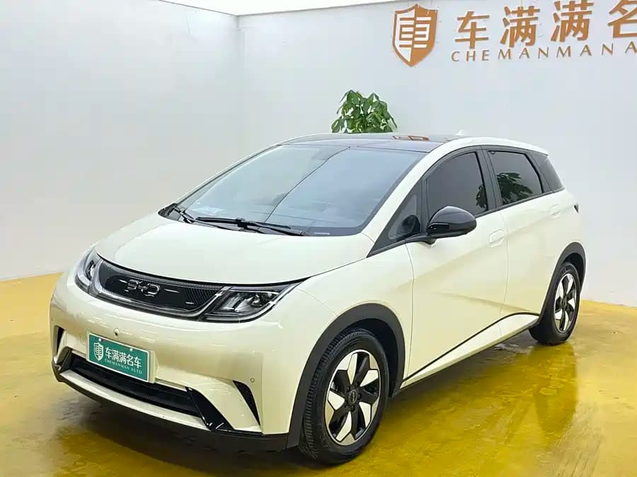 BYD Dolphin