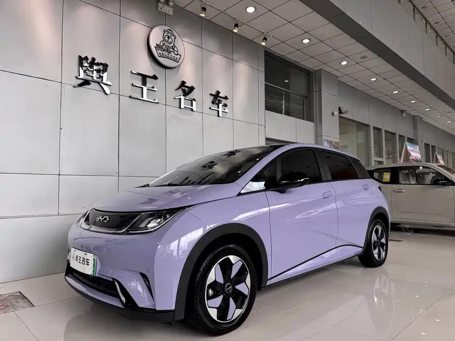 BYD Dolphin