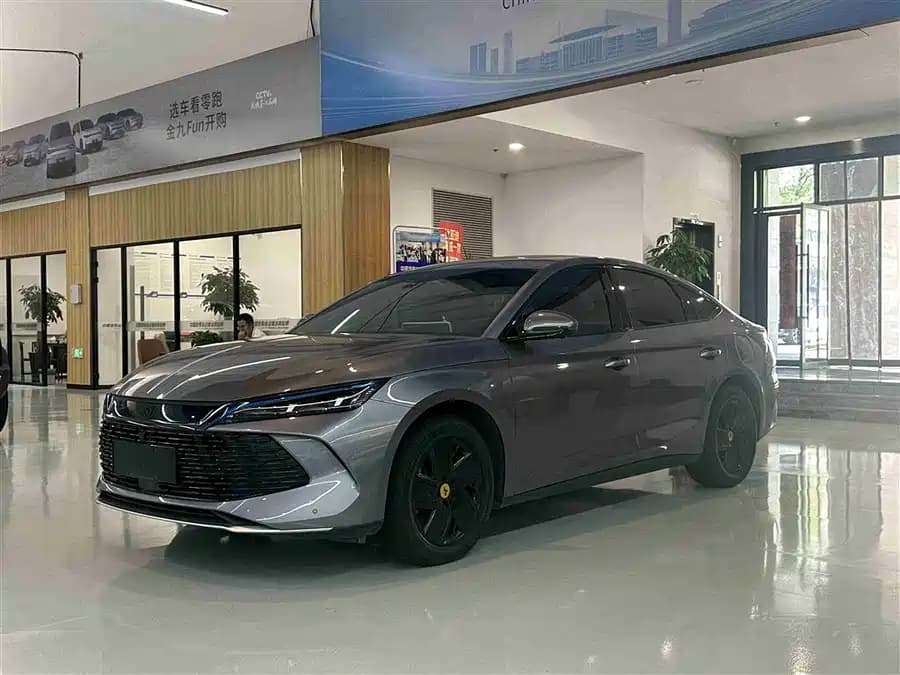 BYD Sea Lion 06 EV 2024